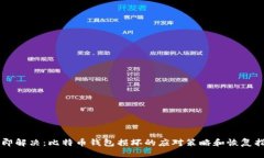 立即解决：比特币钱包损